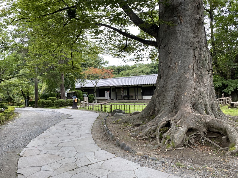 小諸城藤村記念館