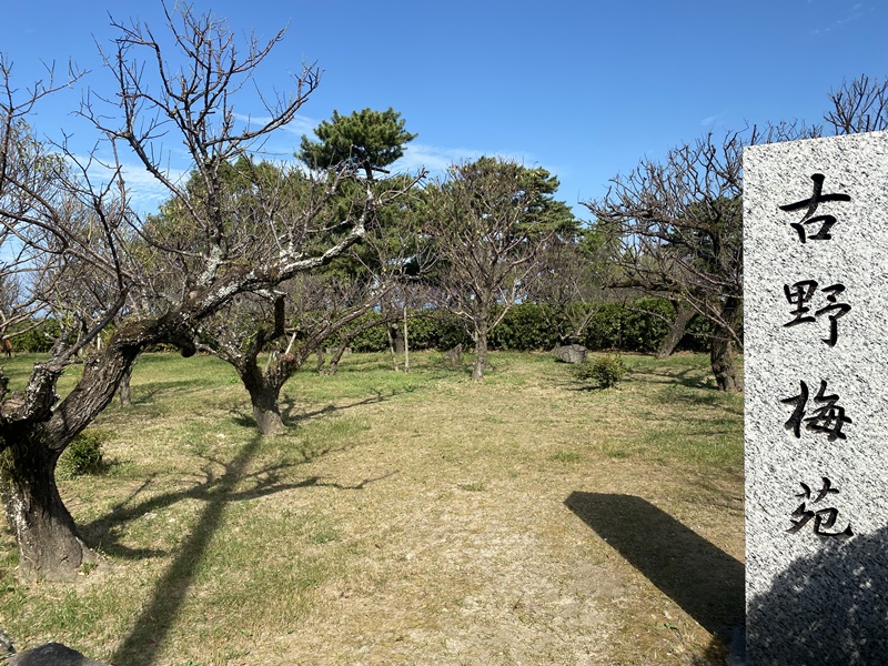 島原城古野梅苑